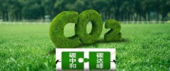 碳中和个人创业机会：在碳减排领域探索创新创业机会