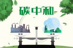 碳中和项目怎么赚钱：可持续商业模式的机会