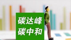 走向碳中和：智慧能源在碳中和目标中的贡献与挑战