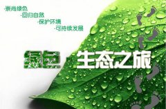 智慧能源和碳中和：可持续发展之路，智慧能源助推碳中和目标的实现 
