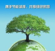 绿色金融在支持智慧能源和节能减排项目中的作用